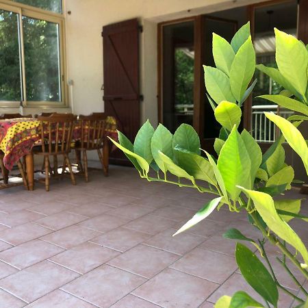 סאלבה Maison D'En Face מראה חיצוני תמונה
